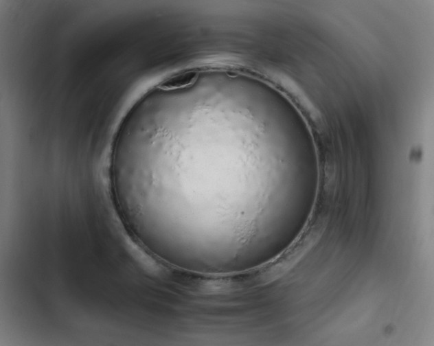 X0000103331421200809051159
