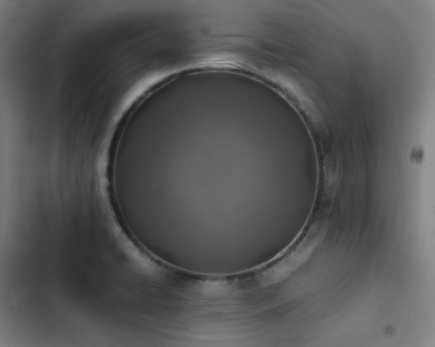 X0000103331422200809051159