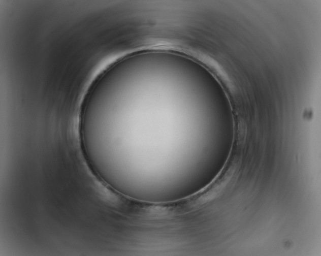 X0000103331424200809051159