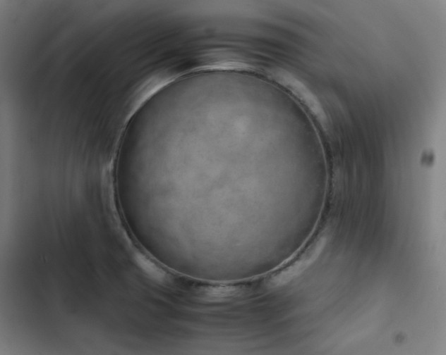 X0000103331425200809051159