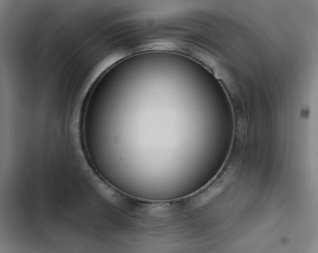 X0000103331426200809051159