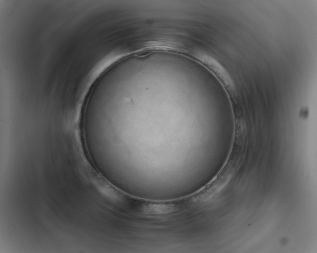 X0000103331427200809051159