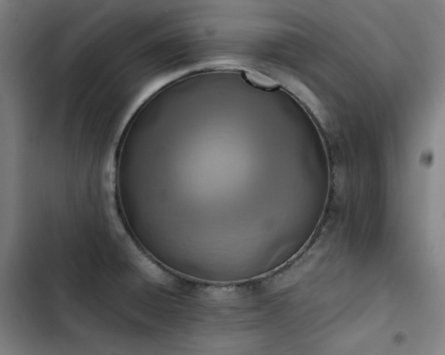 X0000103331428200809051159