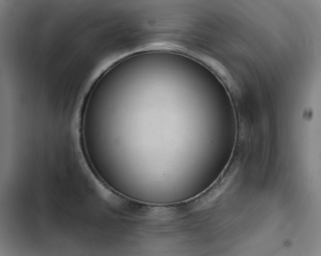 X0000103331430200809051159