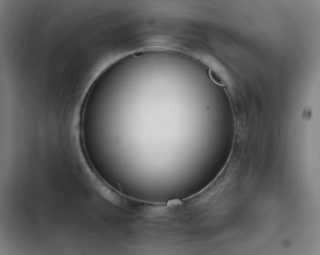 X0000103331431200809051159