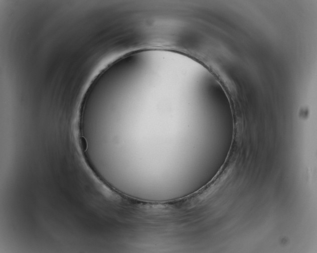 X0000103331432200809051159
