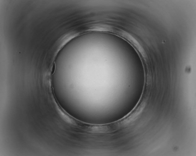 X0000103331433200809051159