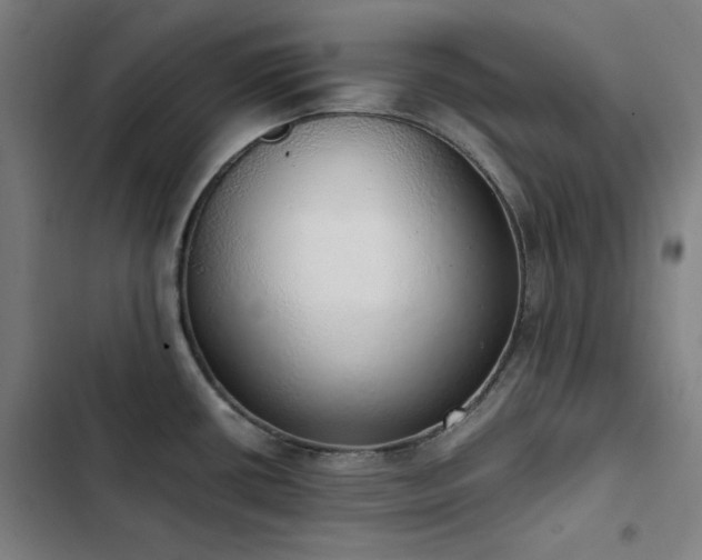 X0000103331434200809051159