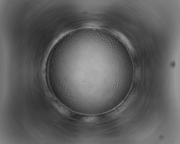 X0000103331435200809051159
