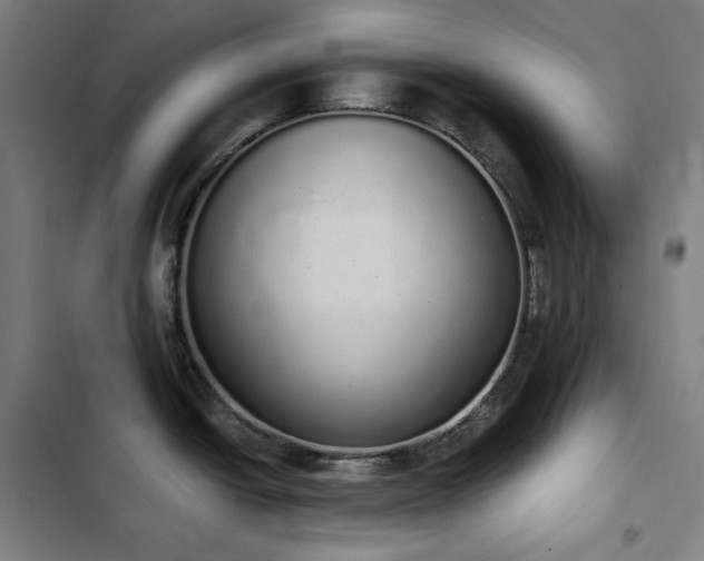 X0000103331438200809051159