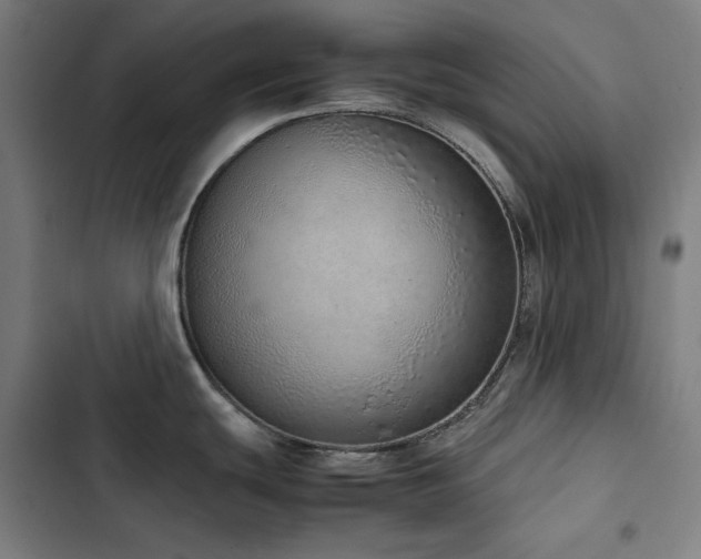 X0000103331439200809051159