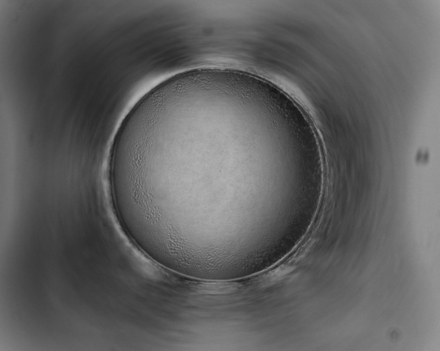 X0000103331440200809051159