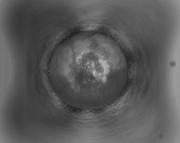 X0000103331441200809051159
