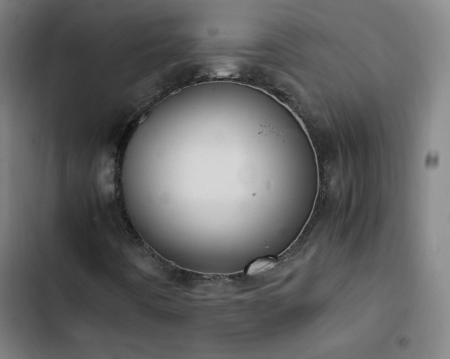 X0000103331442200809051158