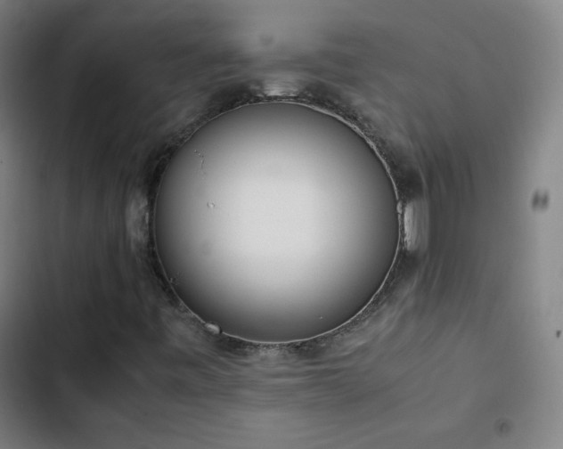 X0000103331443200809051158