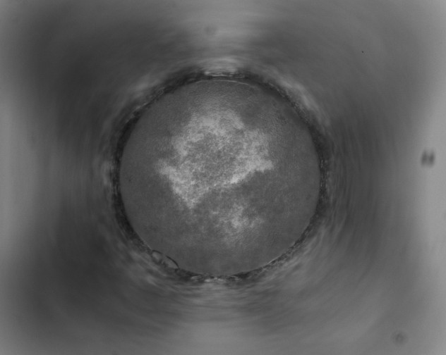 X0000103331445200809051158