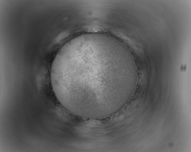 X0000103331446200809051158