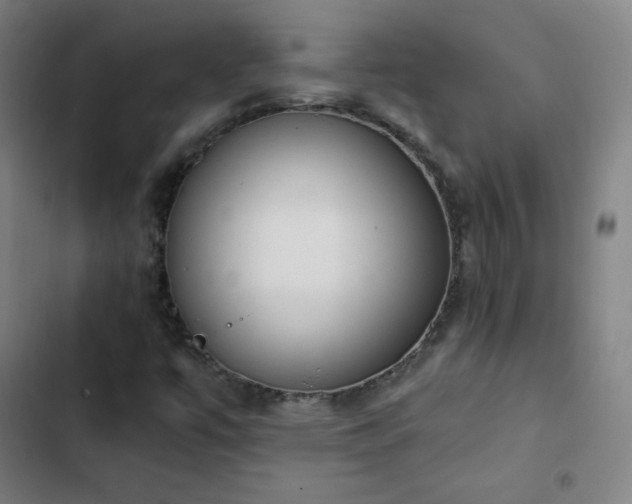 X0000103331447200809051158