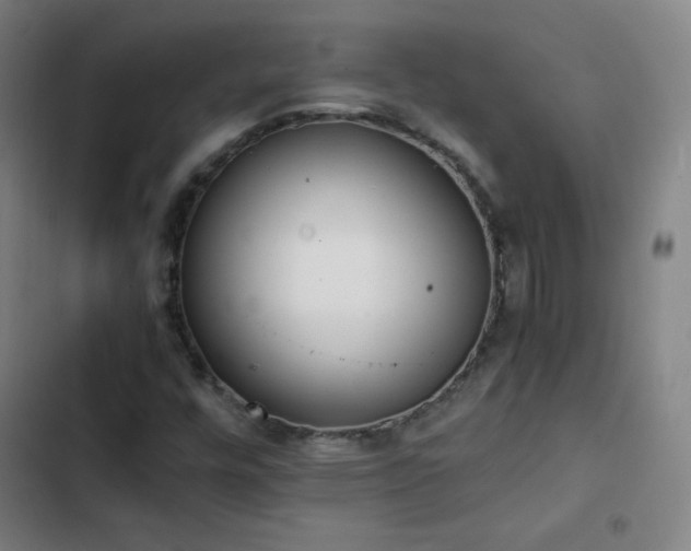 X0000103331448200809051158
