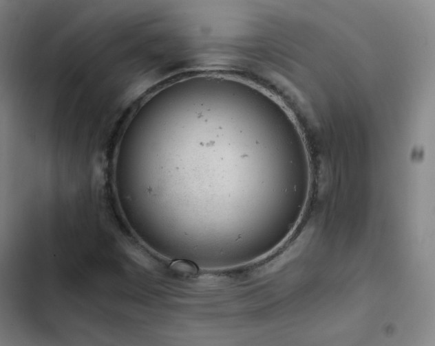 X0000103331449200809051158