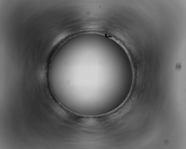 X0000103331450200809051158