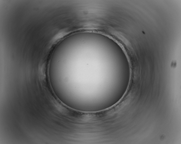 X0000103331451200809051158