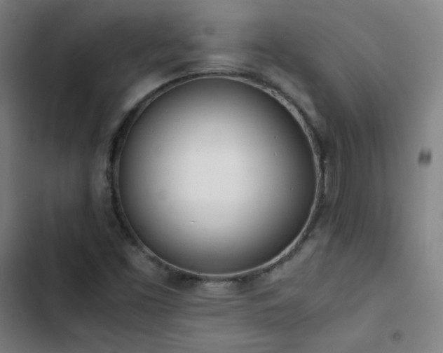 X0000103331453200809051158