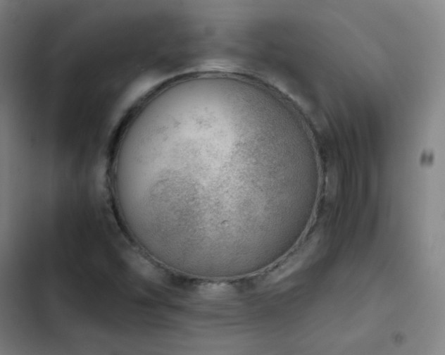 X0000103331454200809051158