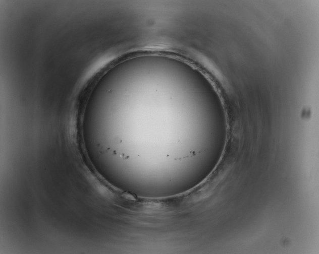 X0000103331456200809051158