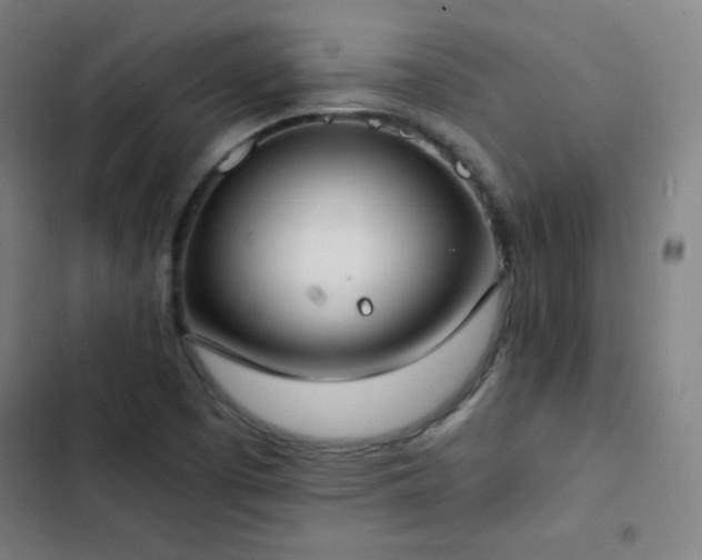 X0000103331457200809051158
