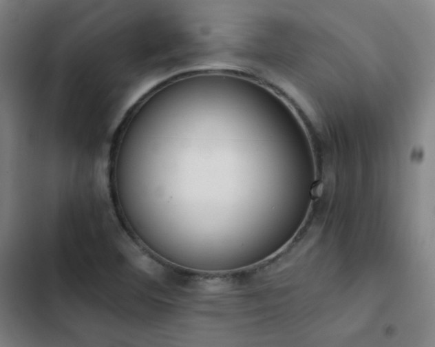 X0000103331460200809051158