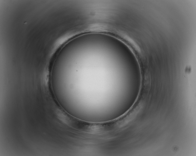 X0000103331461200809051158
