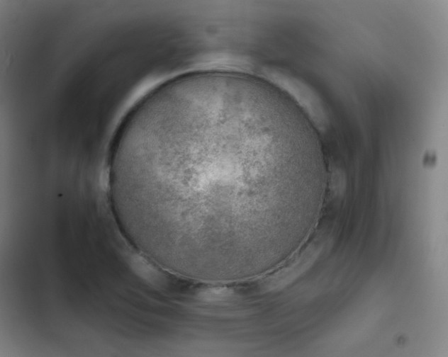 X0000103331462200809051158