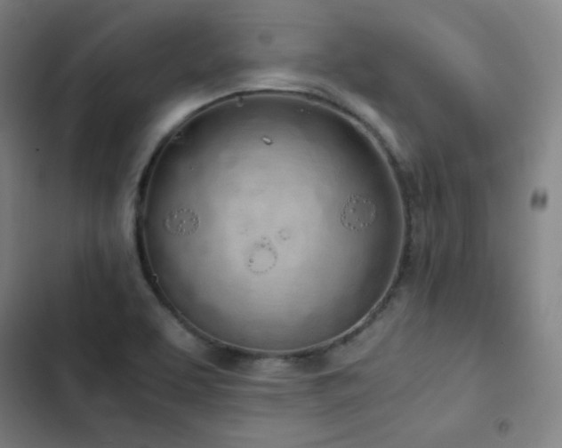 X0000103331463200809051158