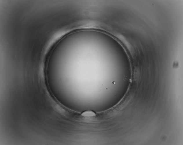 X0000103331464200809051158