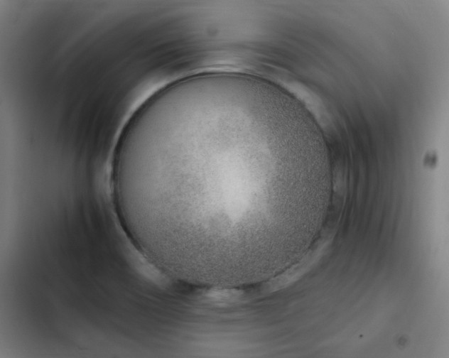 X0000103331466200809051158