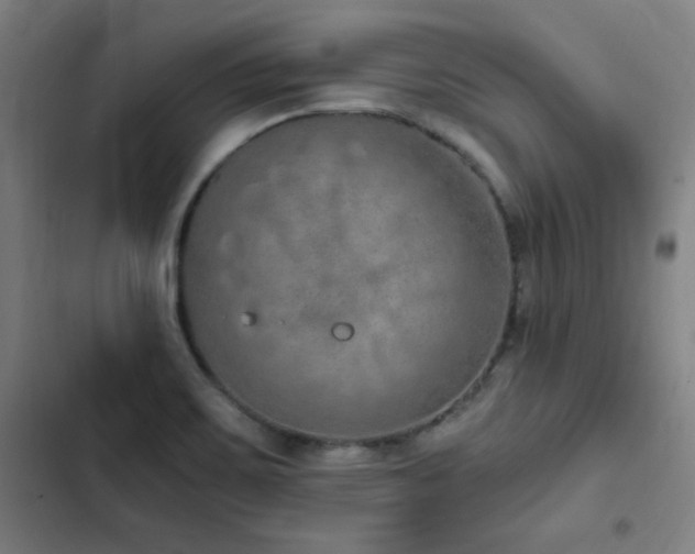 X0000103331467200809051158