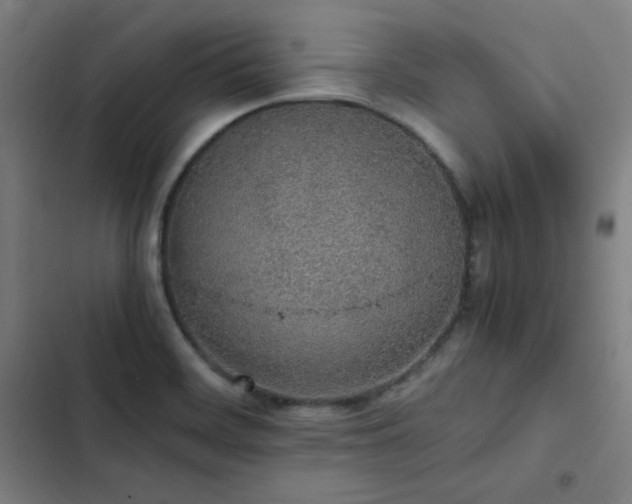 X0000103331468200809051158