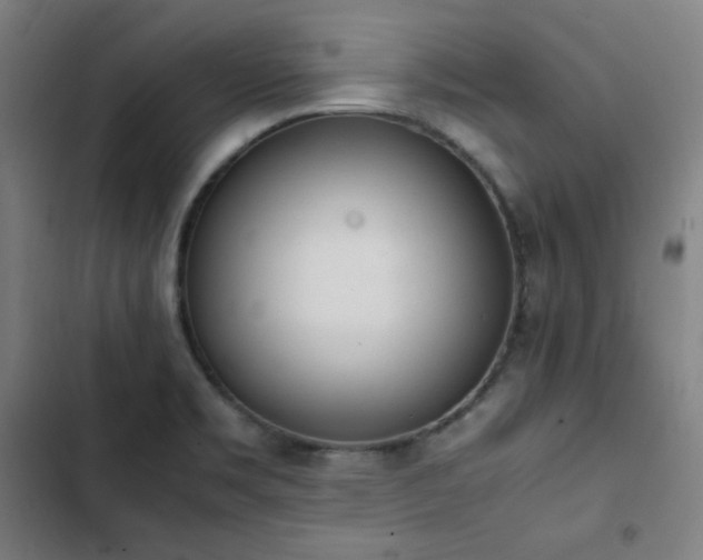 X0000103331469200809051158