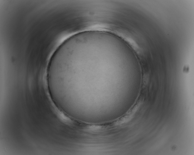 X0000103331470200809051158
