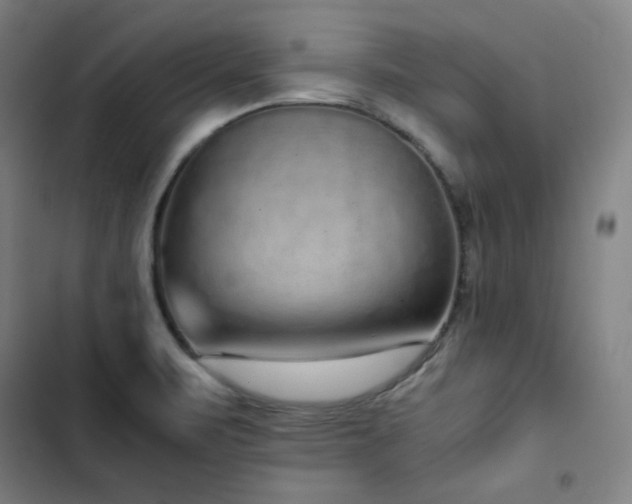 X0000103331471200809051158