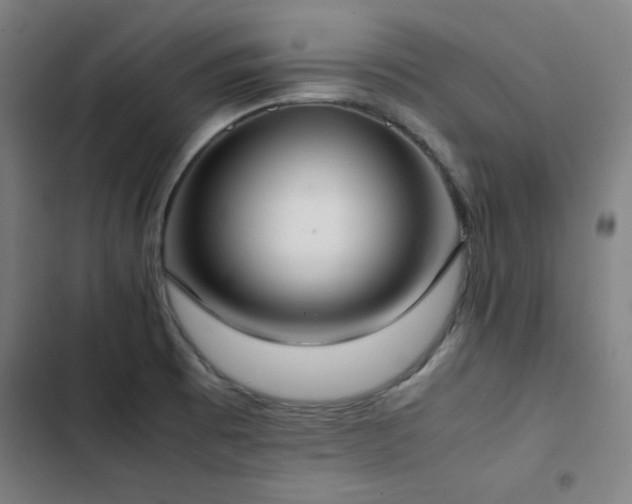 X0000103331473200809051158