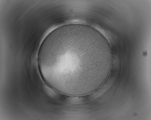 X0000103331474200809051158