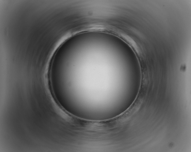 X0000103331475200809051158