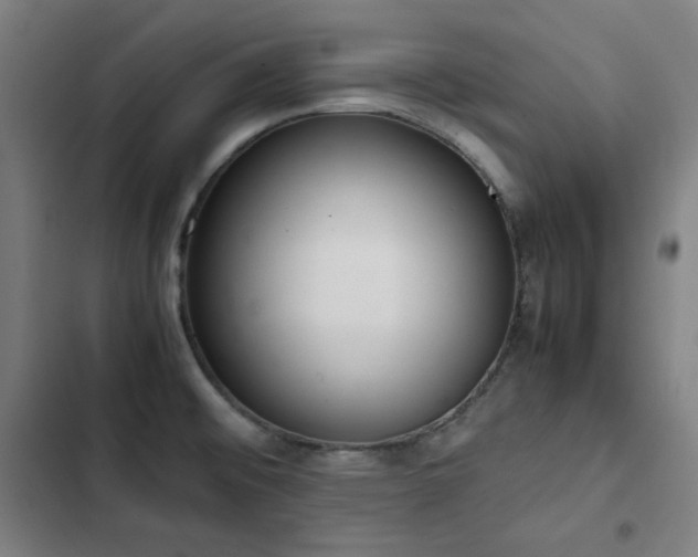 X0000103331476200809051158
