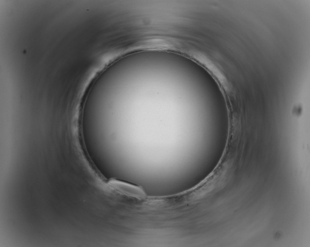 X0000103331477200809051158