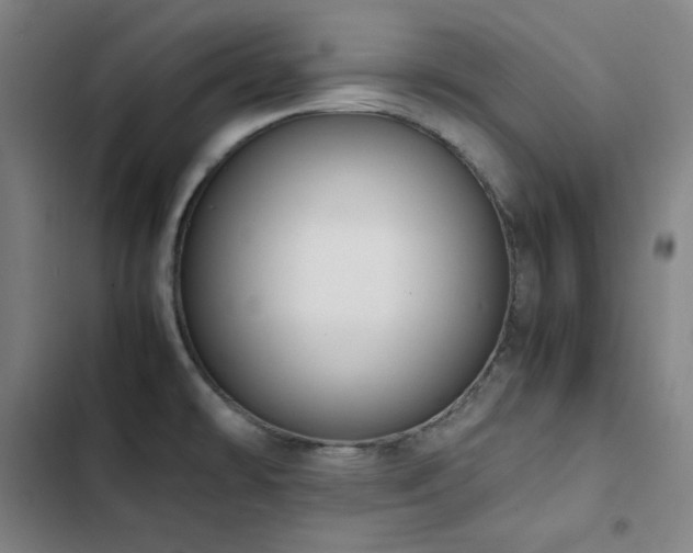 X0000103331478200809051158