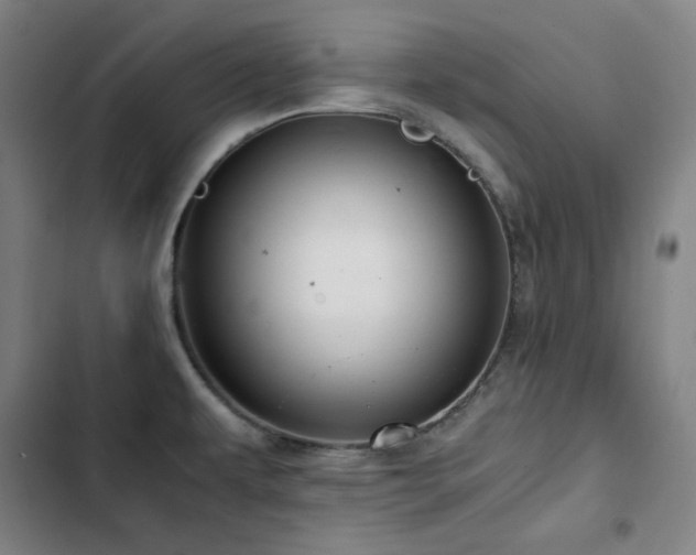 X0000103331479200809051158