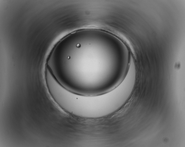 X0000103331480200809051158