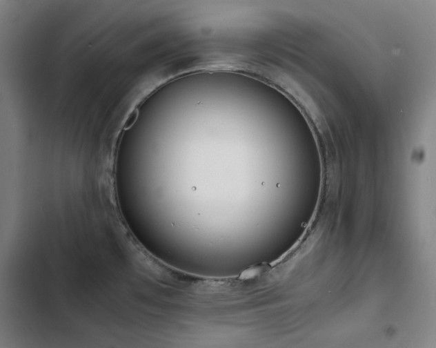 X0000103331481200809051158